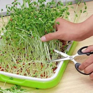 Alternative view of Khay nhựa ươm hạt giống rau mầm giúp cây bật mầm nhanh, phát triển đều, có khay giữ nước bên dưới rất hiệu quả