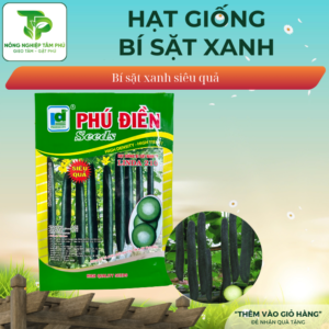 Hạt giống bí sặt PDS999