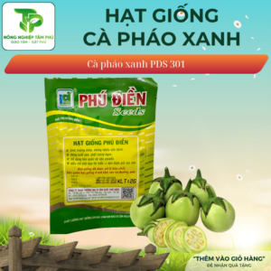 Alternative view of Hạt giống cà pháo xanh PD301