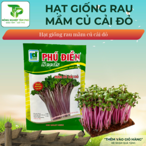 Hạt giống rau mầm rau cải đỏ