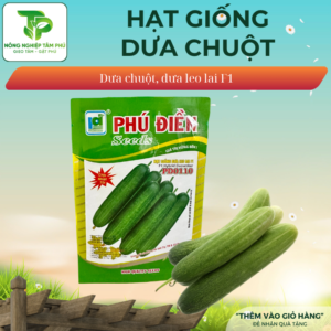 Hạt giống dưa leo/ dưa chuột F1 – PD0110