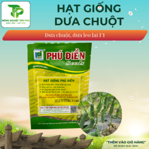 Alternative view of Hạt giống dưa leo/ dưa chuột F1 – PD0110