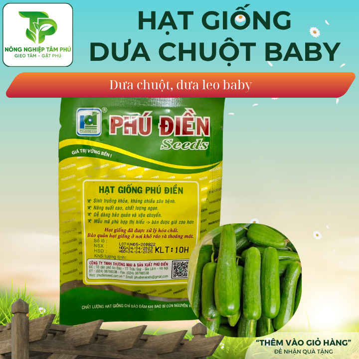 Hạt giống dưa chuột BaBy PD054 - Ảnh 2