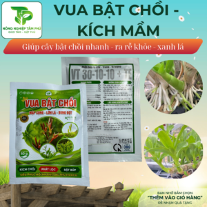 Alternative view of Siêu bật chồi, kích cây ra mầm - chồi giúp cây bật ra nhiều chồi, bật mầm nhanh, kích rễ ra nhanh, xanh lá