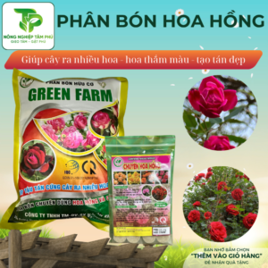 Phân bón hữu cơ dành cho hoa hồng giúp cây đâm chồi, thân mập, nhiều nụ, hoa to, thắm màu, lâu tàn