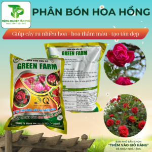 Alternative view of Phân bón hữu cơ dành cho hoa hồng giúp cây đâm chồi, thân mập, nhiều nụ, hoa to, thắm màu, lâu tàn