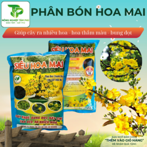 Alternative view of Phân bón siêu hoa mai giúp cây khỏe, sai hoa, bung đọt nảy chồi, trổ bông đều, kích ra hoa nhiều