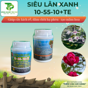 Alternative view of Siêu lân xanh 10-50-10+TE giúp kích rễ, hạ phèn, chống rét giúp tạo mầm hoa, ra hoa đồng loạt