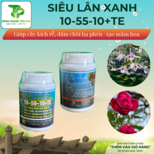 Siêu lân xanh 10-50-10+TE giúp kích rễ, hạ phèn, chống rét giúp tạo mầm hoa, ra hoa đồng loạt