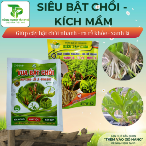Siêu bật chồi, kích cây ra mầm - chồi giúp cây bật ra nhiều chồi, bật mầm nhanh, kích rễ ra nhanh, xanh lá