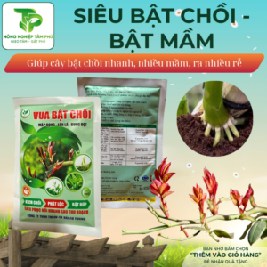 Siêu bật chồi, kích cây ra mầm - chồi giúp cây bật ra nhiều chồi, bật mầm nhanh, kích rễ ra nhanh, xanh lá