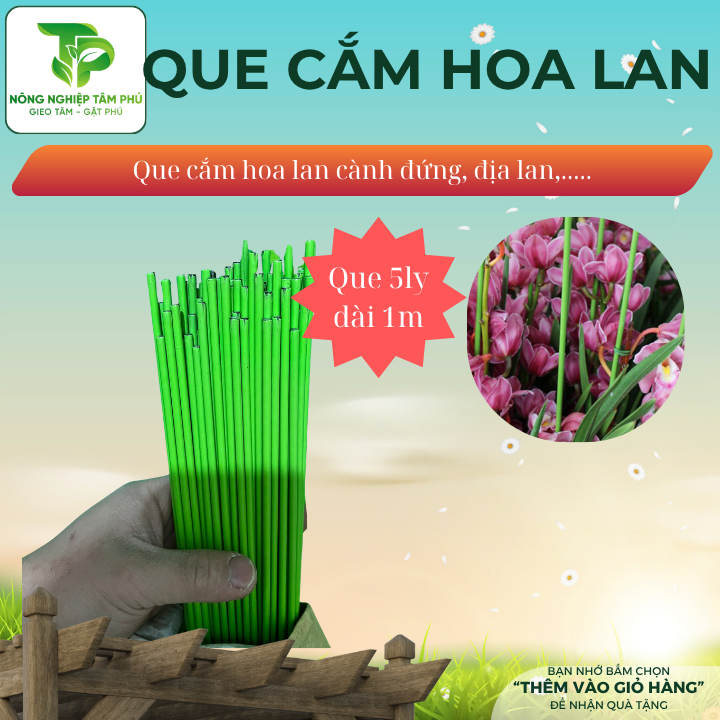 Que cắm hoa lan bọc nhựa dài 1m, dùng cố định các loại hoa phong lan, hồ điệp, địa lan, làm đồ mỹ nghệ, handmade - Ảnh 3