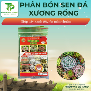 Alternative view of Phân bón viên nén dành cho sen đá, sương rồng giúp cây khỏe, lên màu đậm