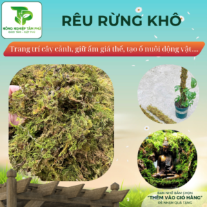 Rêu rừng khô 1kg trang trí chậu hoa, tiểu cảnh, làm ổ cho động vật và giữ ẩm cho chậu hoa lan, kiểng lá, monstera