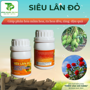 Alternative view of Siêu lân đỏ 100ml giúp phân hóa mầm hoa, ra hoa đều, nhiều hoa, tăng khả năng đậu quả