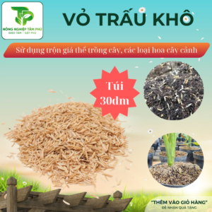 Alternative view of Vỏ trấu trồng cây, vỏ trấu khô, sạch giúp đất tơi xốp, giữ ẩm cho đất trồng, làm giá thể trồng hoa cây cảnh