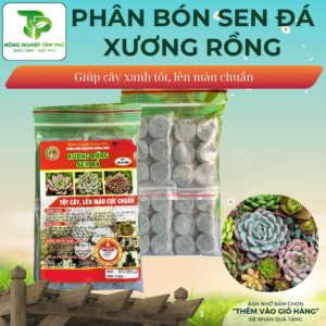 Phân bón viên nén dành cho sen đá, sương rồng giúp cây khỏe, lên màu đậm
