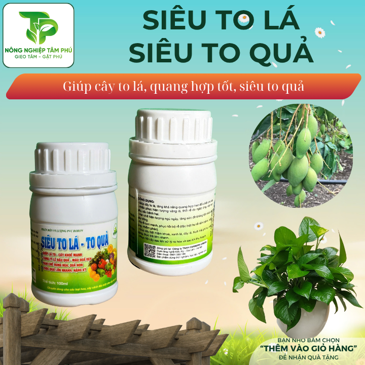 Siêu to lá - to quả giúp lá to - cây khỏe, tăng khả năng đậu quả, hạn chế rụng quả non, màu quả đẹp - Ảnh 2