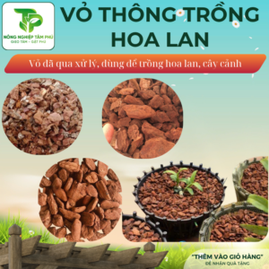 Vỏ thông xay, vụn trồng hoa lan đã qua xử lý, nhiều kích thước dùng trồng hoa lan hồ điệp, phi điệp, lan kiếm, rải bề mặt chậu trồng