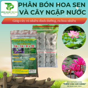 Phân bón chuyên dùng cho hoa sen, hoa súng và cây cảnh ngập nước giúp hoa đẹp, thắm màu gói 24 viên