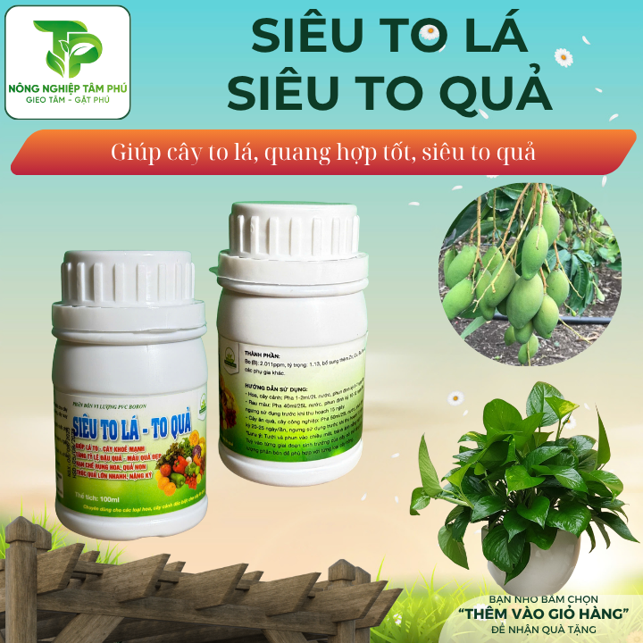Siêu to lá - to quả giúp lá to - cây khỏe, tăng khả năng đậu quả, hạn chế rụng quả non, màu quả đẹp