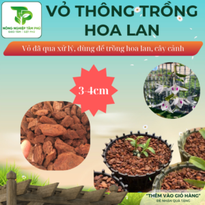 Alternative view of Vỏ thông xay, vụn trồng hoa lan đã qua xử lý, nhiều kích thước dùng trồng hoa lan hồ điệp, phi điệp, lan kiếm, rải bề mặt chậu trồng