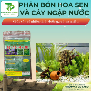 Alternative view of Phân bón chuyên dùng cho hoa sen, hoa súng và cây cảnh ngập nước giúp hoa đẹp, thắm màu gói 24 viên