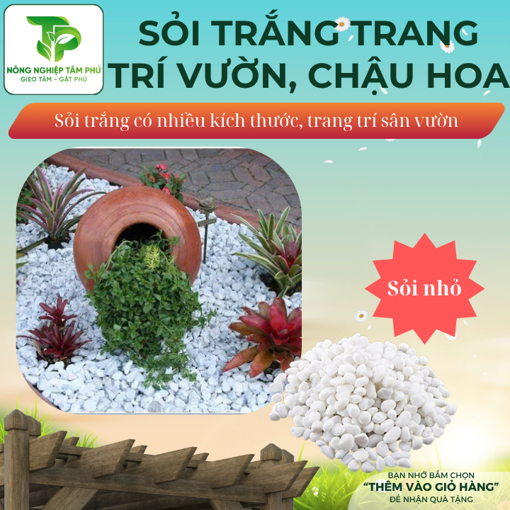 Sỏi trắng, đá trắng trang trí sân vườn, dải bề mặt chậu trồng cây nội thất, có nhiều kích thước - Ảnh 3
