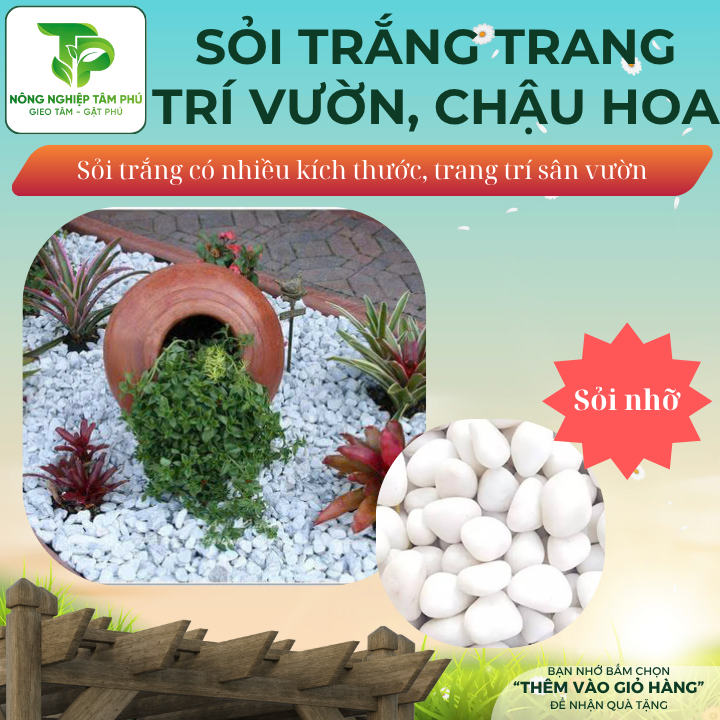 Sỏi trắng, đá trắng trang trí sân vườn, dải bề mặt chậu trồng cây nội thất, có nhiều kích thước - Ảnh 2