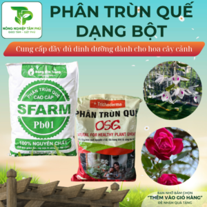 Phân trùn quế nguyên chất Sfarm giúp cải tạo đất, nhiều mùn dành cho hoa lan cây cảnh và rau ăn lá