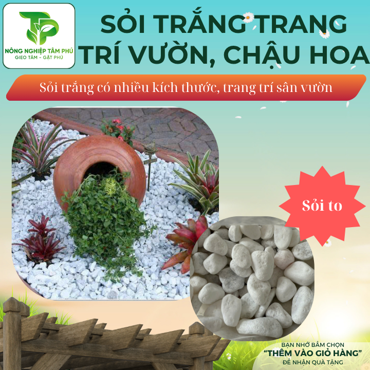 Sỏi trắng, đá trắng trang trí sân vườn, dải bề mặt chậu trồng cây nội thất, có nhiều kích thước