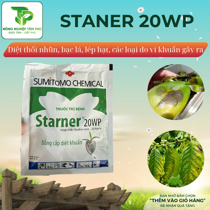 Staner 20WP trị vi khuẩn thối nhũn, thối đen, thối nâu, cháy bìa lá dành cho các loại hoa cây cảnh - Ảnh 2