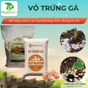 Vỏ trứng gà đã qua xử lý Sfarm bổ xung canxi, giúp cây khoẻ, hạn chế côn trùng gây hại dành cho các loại hoa cây cảnh