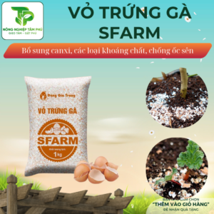 Alternative view of Vỏ trứng gà đã qua xử lý Sfarm bổ xung canxi, giúp cây khoẻ, hạn chế côn trùng gây hại dành cho các loại hoa cây cảnh