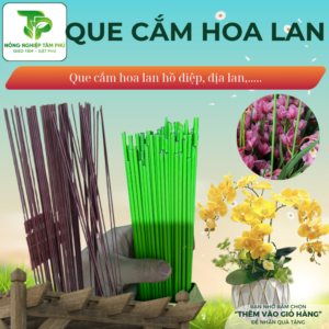 Que cắm hoa lan bọc nhựa dài 1m, dùng cố định các loại hoa phong lan, hồ điệp, địa lan, làm đồ mỹ nghệ, handmade