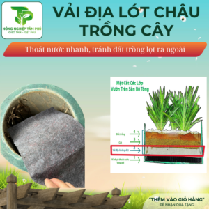 Alternative view of Vải địa trồng cây tránh lọt giá thể đất từ chậu ra sàn, vải địa kỹ thuật giúp thoát nước tốt
