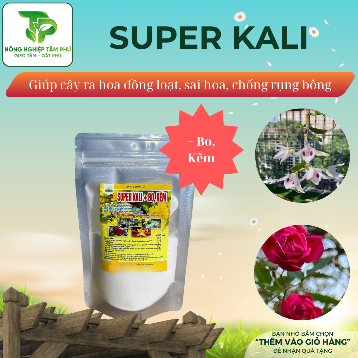 Super Canxi, Magie, Kali + Bo, kẽm bổ sung dinh dưỡng giúp cây xanh lá, hoa to, mập thân, chống rụng trái, rụng hoa - Ảnh 3