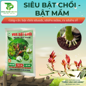 Alternative view of Siêu bật chồi, kích cây ra mầm - chồi giúp cây bật ra nhiều chồi, bật mầm nhanh, kích rễ ra nhanh, xanh lá