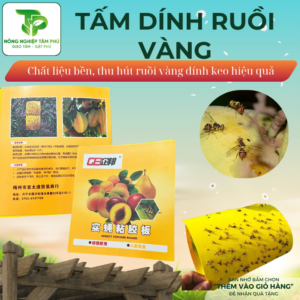 Tấm dính ruồi vàng (2 tấm), siêu dính siêu bền có keo dẫn dụ tốt kích thước 20x40cm giúp bảo vệ cây tránh bị ruồi cắn phá