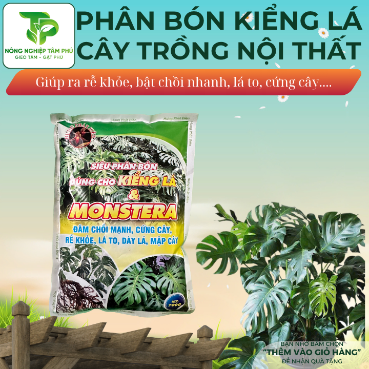 Phân bón kiểng lá monstera, cây trồng trong nhà, cây nội thất - văn phòng, trầu bà, kim tiền,... giúp cây khỏe, xanh lá, cứng cây - Ảnh 2