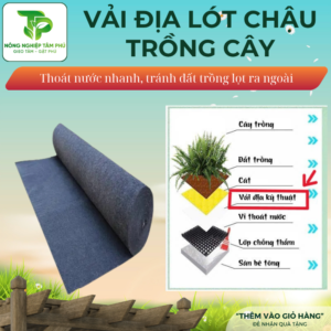 Vải địa trồng cây tránh lọt giá thể đất từ chậu ra sàn, vải địa kỹ thuật giúp thoát nước tốt