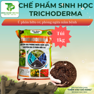 Alternative view of Trichodema bacillus Chế phẩm sinh học dạng nước, dạng bột; nấm đối kháng Tricoderma bacillus dùng ủ phân hữu cơ, cải tạo đất trồng