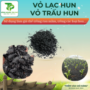 Trấu hun, vỏ lạc hun túi 10dm giá thể giàu dinh dưỡng dành cho hoa lan, cây trồng chậu, sen đá, xương rồng, rau, cây cảnh