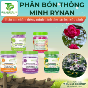 Phân bón thông minh Rynan tan chậm 200,210,220,230,240 cung cấp đủ dinh dưỡng dành cho các loại hoa lan, cây cảnh