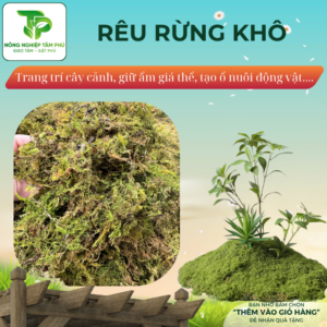 Alternative view of Rêu rừng khô 1kg trang trí chậu hoa, tiểu cảnh, làm ổ cho động vật và giữ ẩm cho chậu hoa lan, kiểng lá, monstera