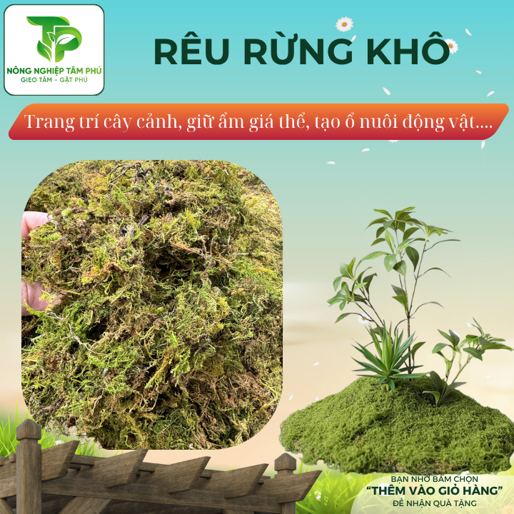 Rêu rừng khô 1kg trang trí chậu hoa, tiểu cảnh, làm ổ cho động vật và giữ ẩm cho chậu hoa lan, kiểng lá, monstera - Ảnh 2