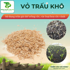 Vỏ trấu trồng cây, vỏ trấu khô, sạch giúp đất tơi xốp, giữ ẩm cho đất trồng, làm giá thể trồng hoa cây cảnh