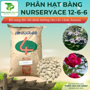 Phân hạt bàng Nhật Bản Nurseryace 12-6-6+TE cung cấp đủ dinh dưỡng cho hoa lan, cây cảnh, bonsai