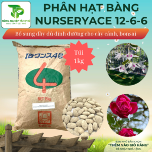 Alternative view of Phân hạt bàng Nhật Bản Nurseryace 12-6-6+TE cung cấp đủ dinh dưỡng cho hoa lan, cây cảnh, bonsai