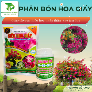 Phân bón siêu hoa giấy, cho cây cảnh cung cấp đủ dinh dưỡng giúp cây tạo tán, kích thích ra nhiều hoa